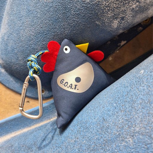 Plezalna kura na grifu