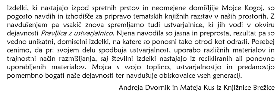 Mnenje o izvedbi delavnic