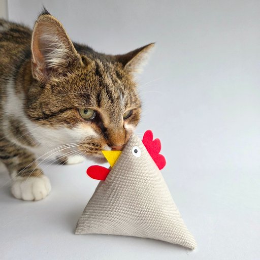 Kitten and chicken